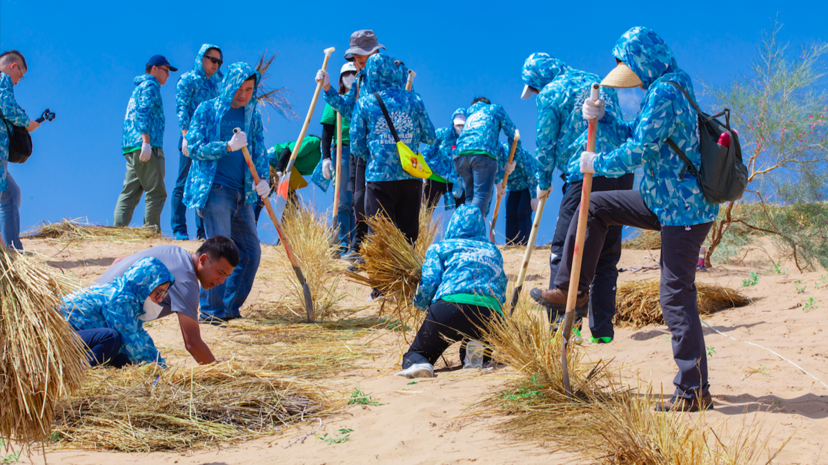 Volunteers constructing straw grids together on a planting trip in Ningxia